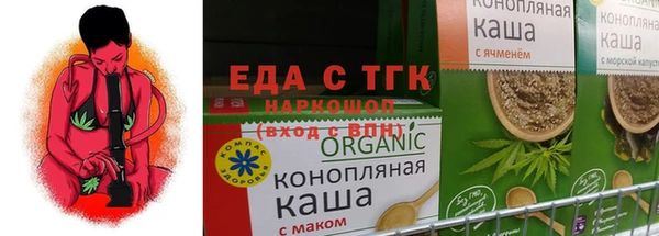 мдпв Каменка