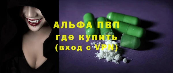 мдпв Каменка