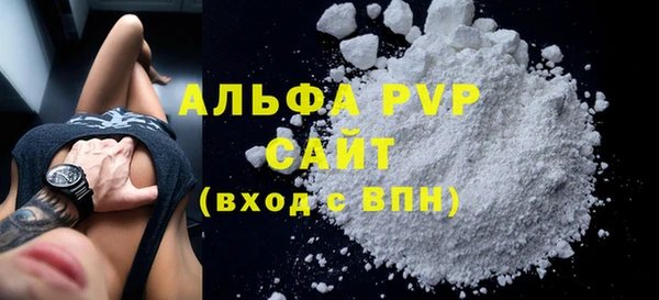 мдпв Каменка